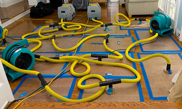 Professional Crawl Space Water Removal technician working in Lynn Haven, FL